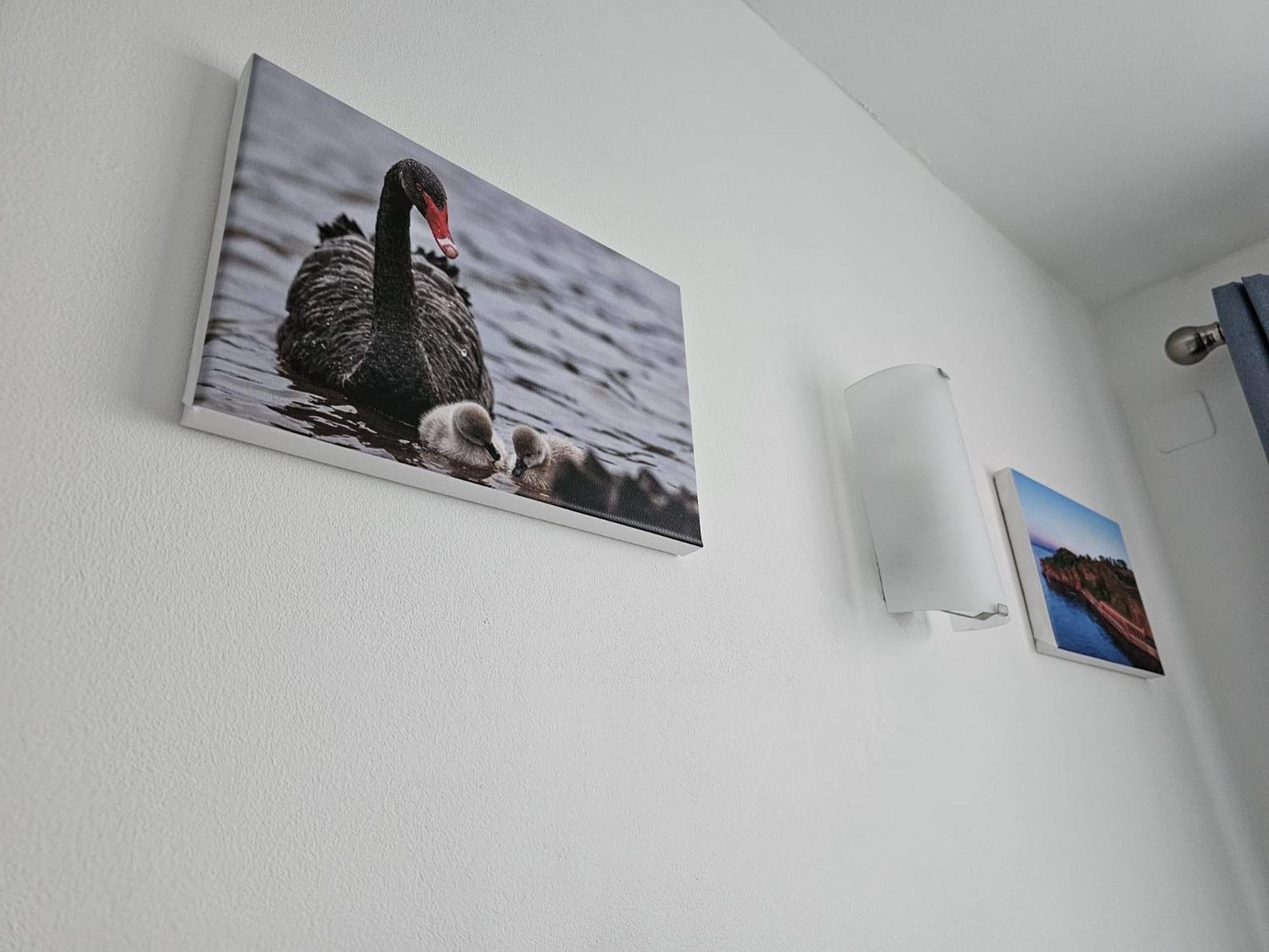 The Nautical Nook Apartment Dawlish Bagian luar foto